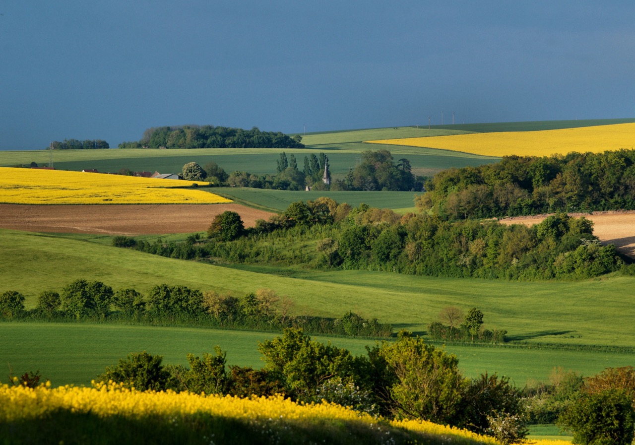 Weekend Pesselières – the Burgundy Snail Run