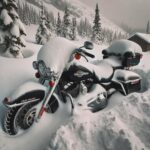 Les bikers font du ski