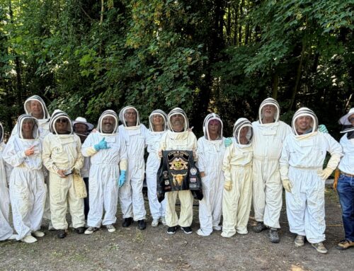 🐝  Le Monde des Abeilles  🐝